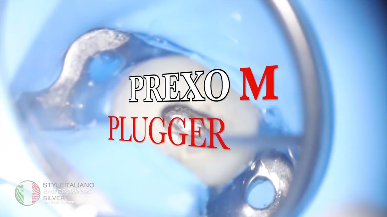 Shawky - apical plug