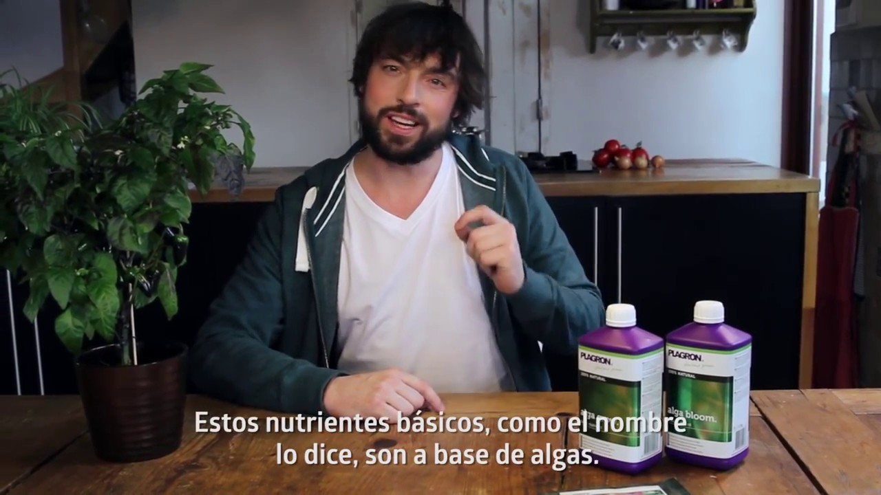 Como utilizar el Alga Grow y Alga Bloom
