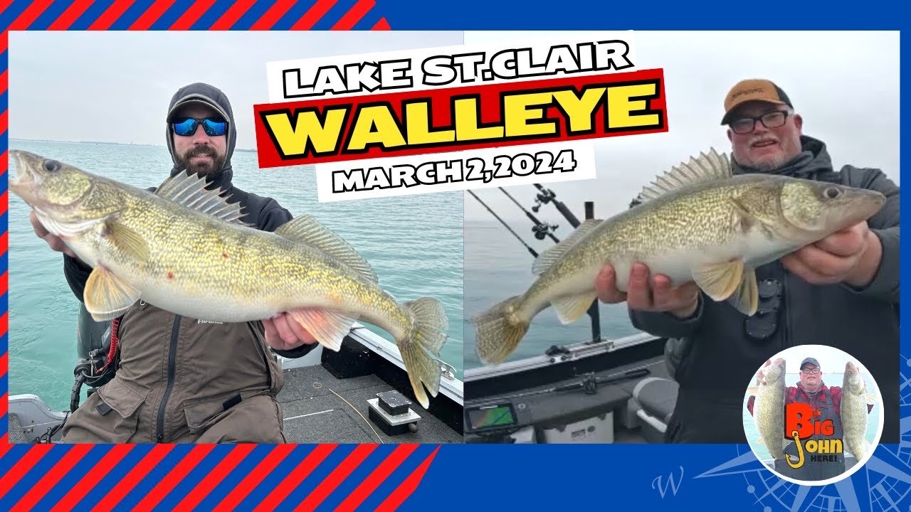 LAKE ST CLAIR WALLEYE MARCH 2, 2024