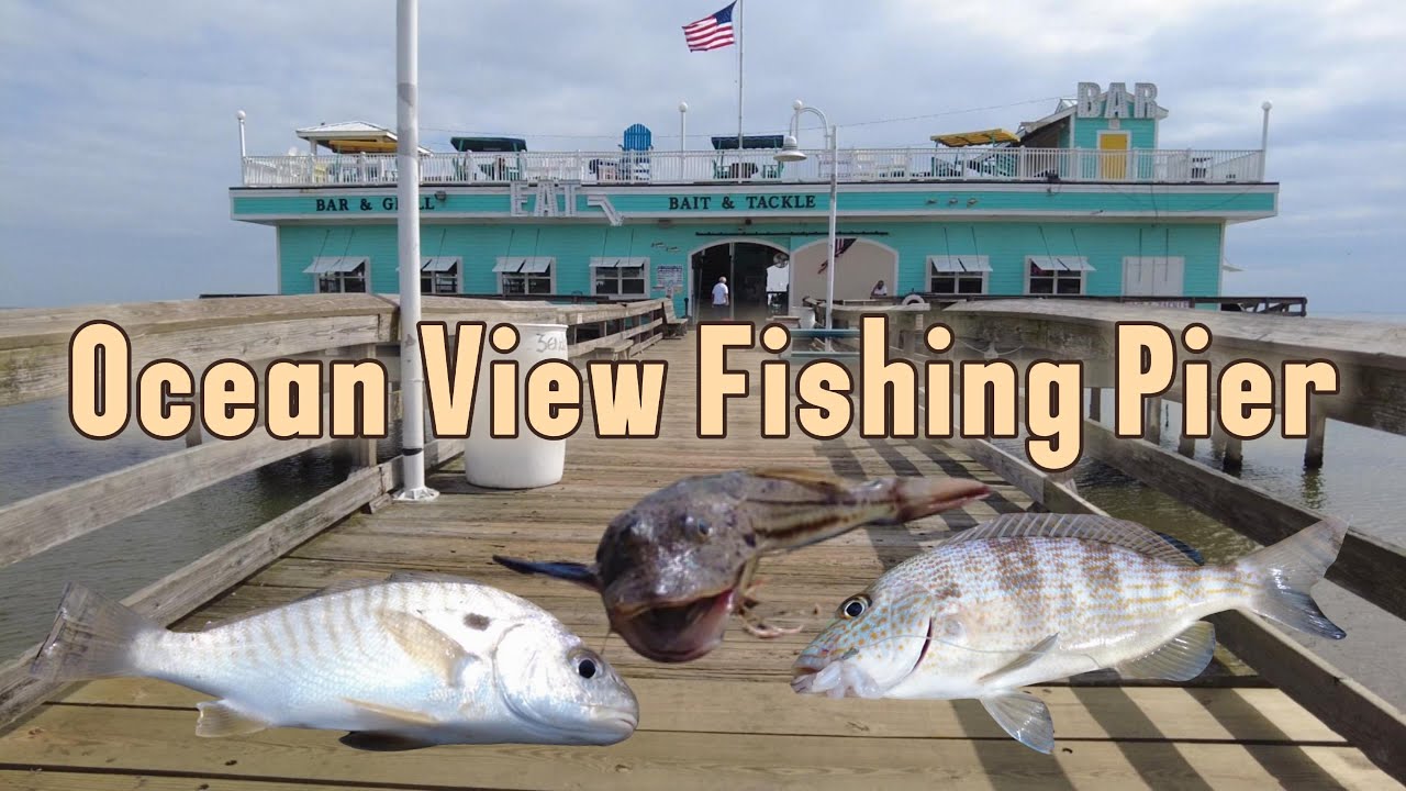 Ocean View Fishing Pier in Norfolk, Virginia, Fishing Pier Tour, Enjoying a Family Fishing Day