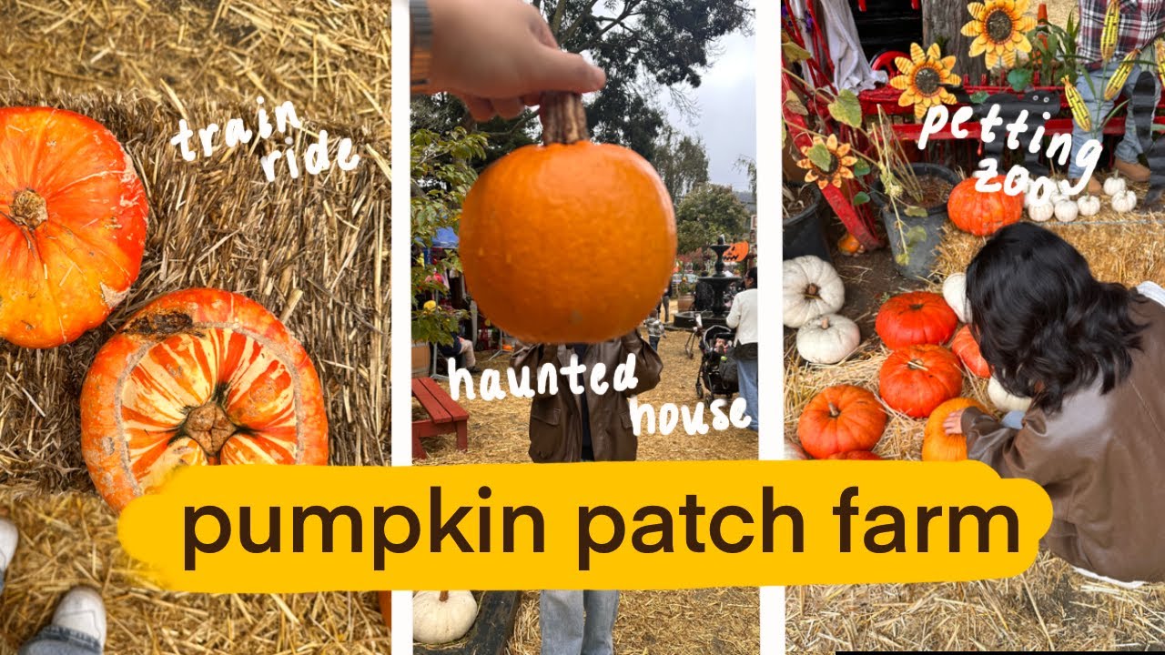 fall pumpkin patch date 🍁 🎃🌽🐐| lemos farm