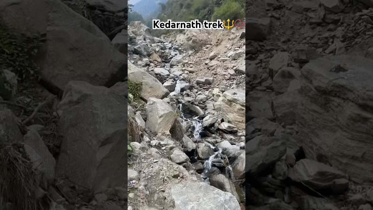 Kedarnath trek 🚩🔱 #love #kedarnath #travel