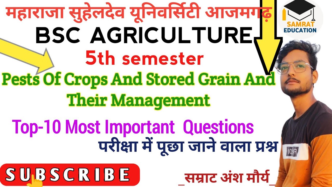 Pests Of Crops And Stored Grain..Top-10 Most Important Questions Bsc Agriculture 5th Semester #msdsu