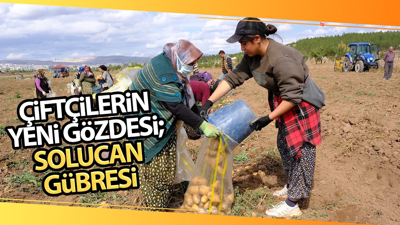 Bu Gübre Sayesinde 10 Dönüm Alandan 30 Ton Patatesi Hasat Edildi
