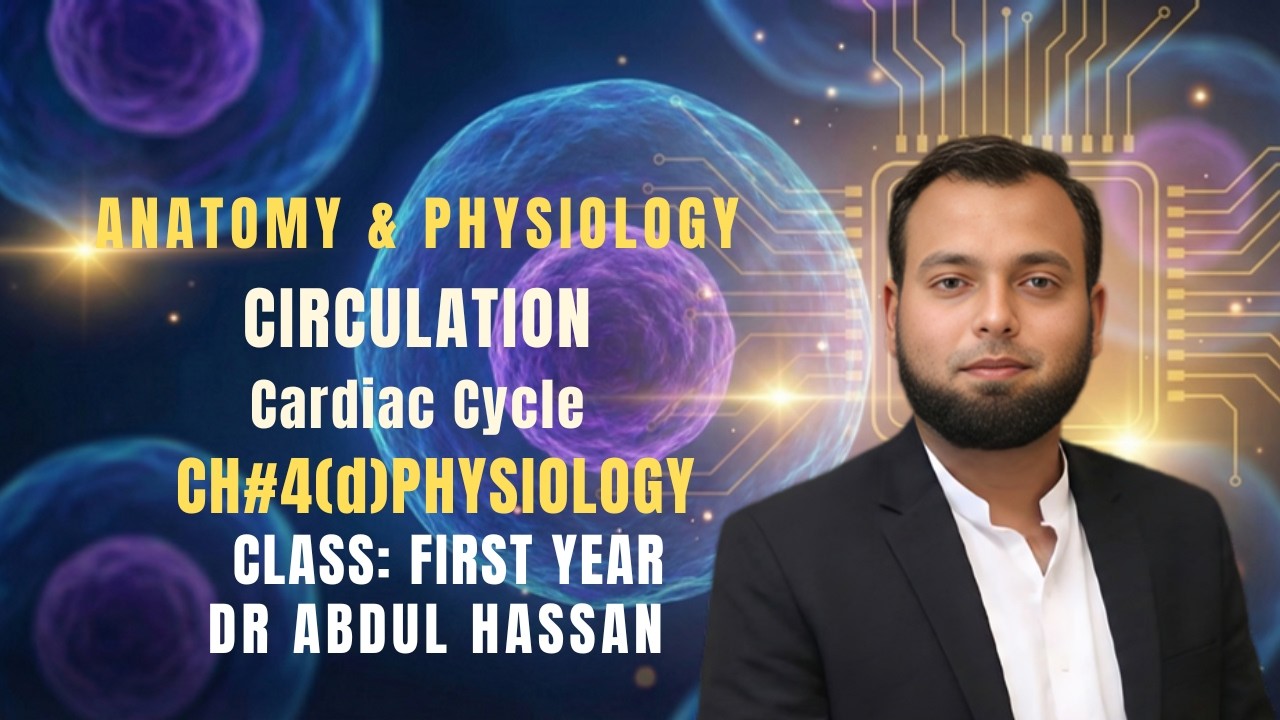 Cardiac Cycle in Physiology: Phases of Systole and Diastole in Human Heart Function