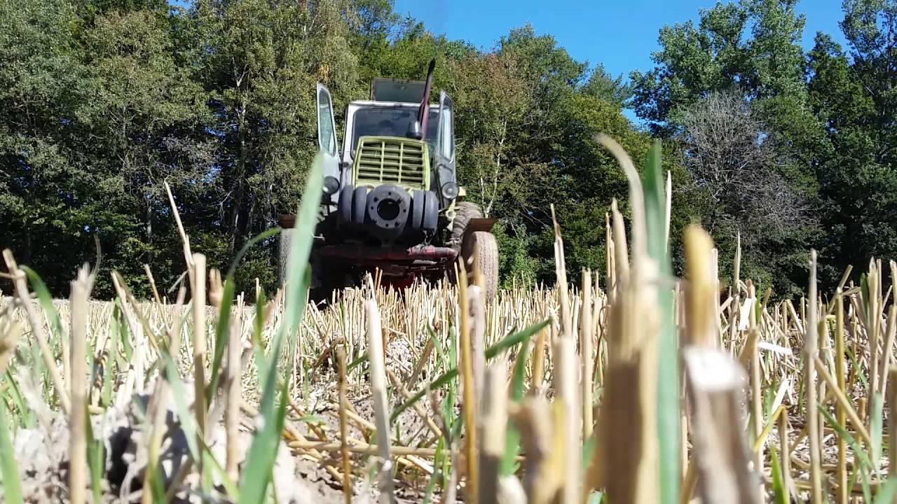 Jumz Talerzowanie  2016.