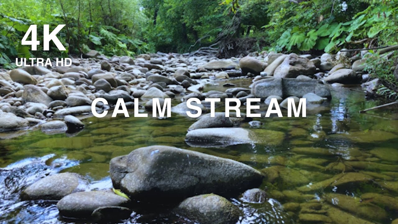 Birdsong & River Whisper | Healing Energy Nature Ambience