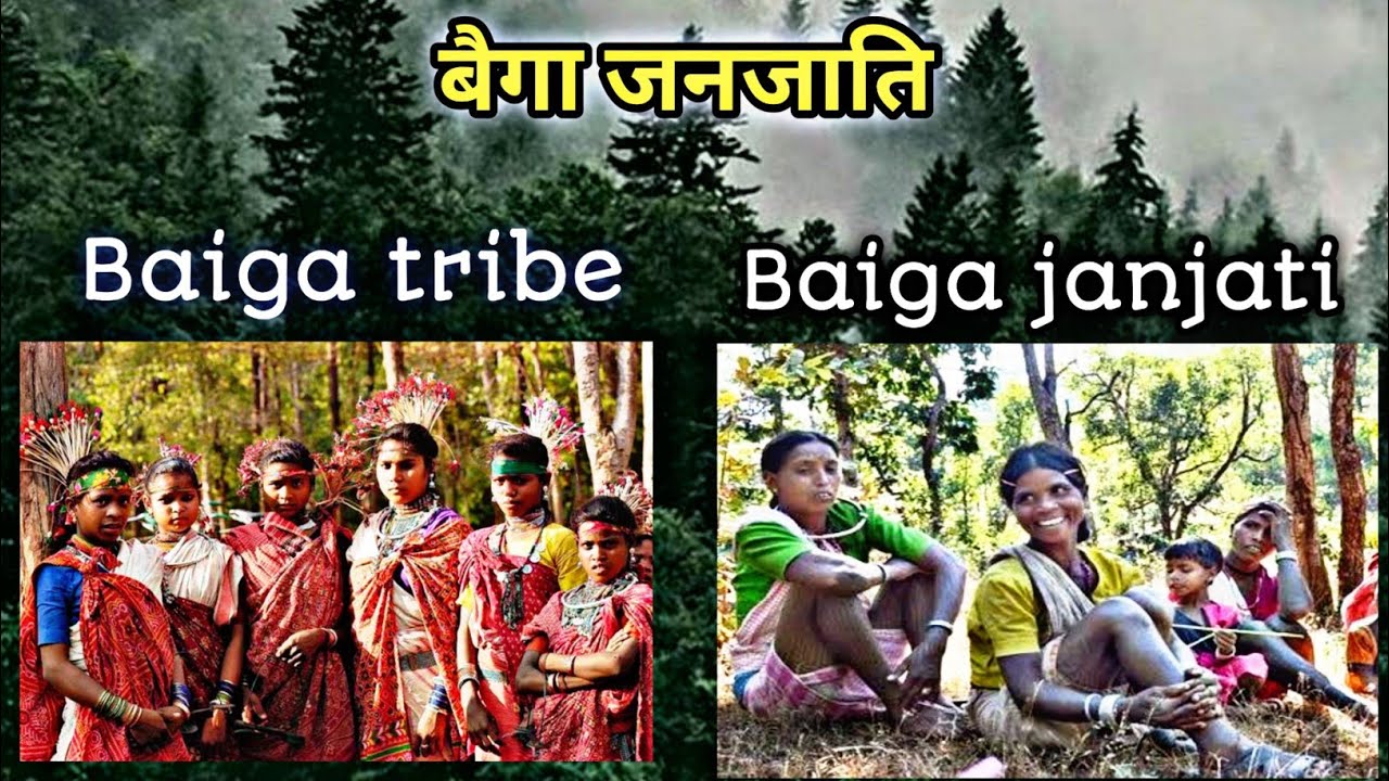 मध्यप्रदेश की बैगा जनजाति !! बैगा जनजाति की सम्पूर्ण जानकारी !! Baiga janjati !! baiga janjati MP