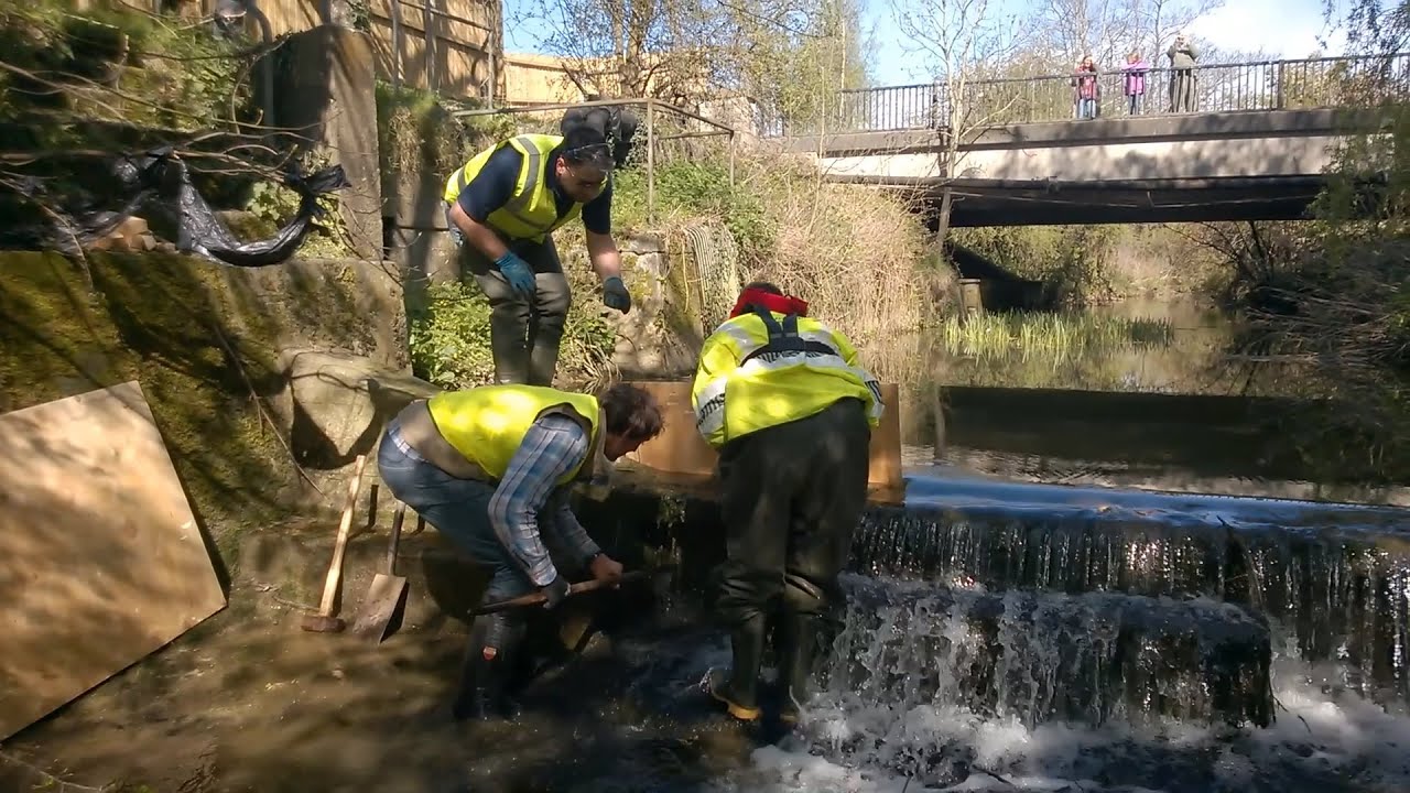 C.A.T.C.H. opens the weir near Hawkers Bridge