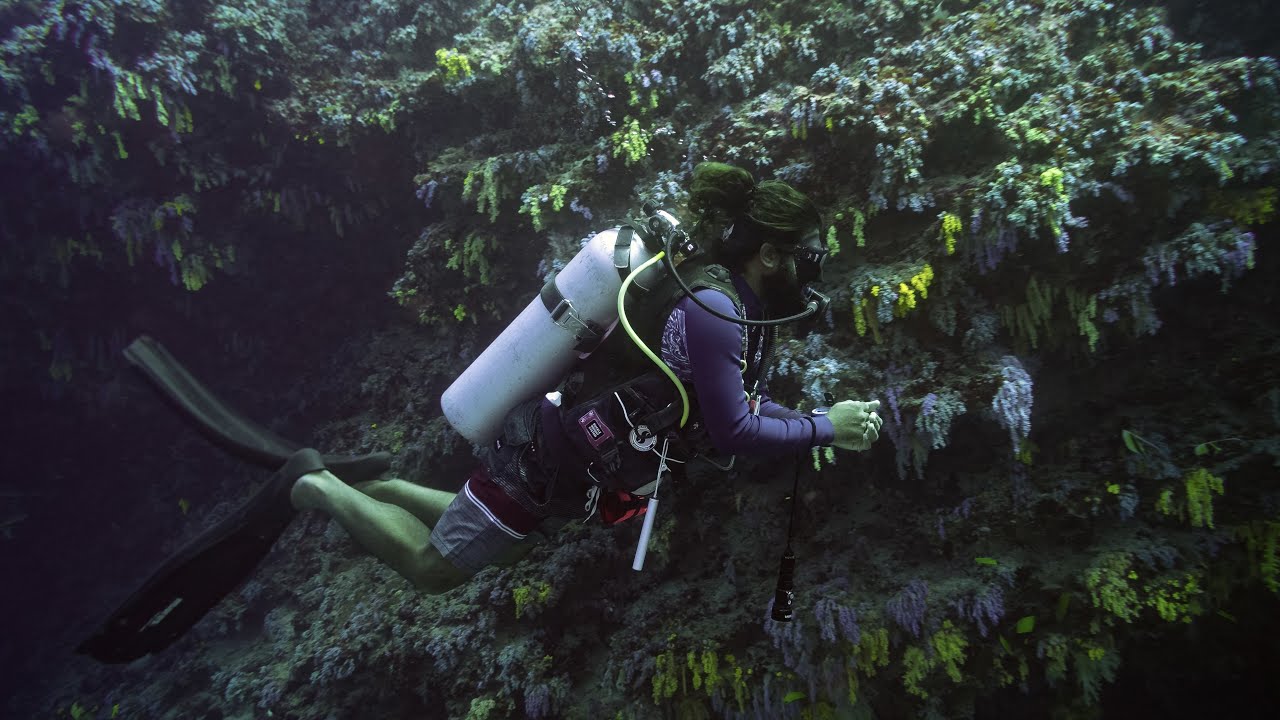Underwater World of Hanimaadhoo | Uthurun Dhekunah