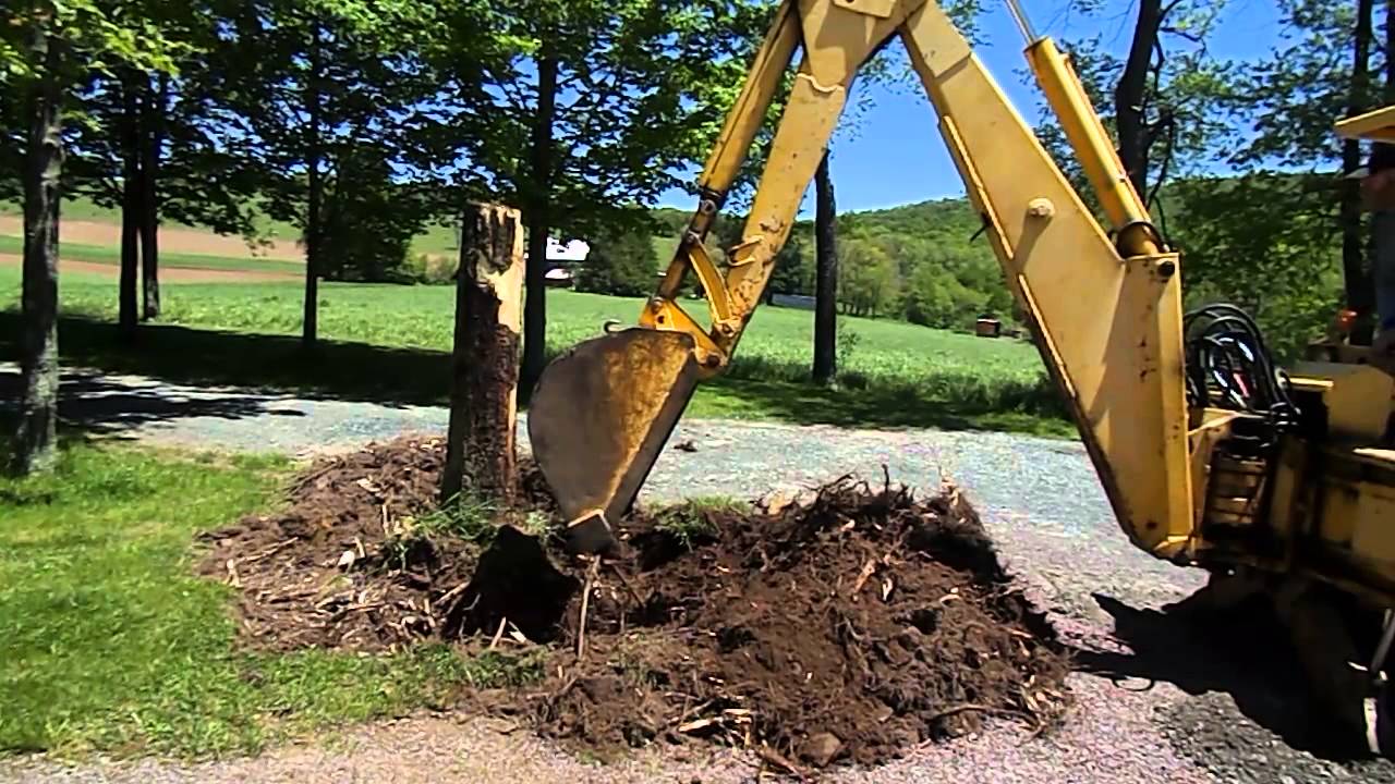 Massey Ferguson Backhoe Digging Maple Tree Stump