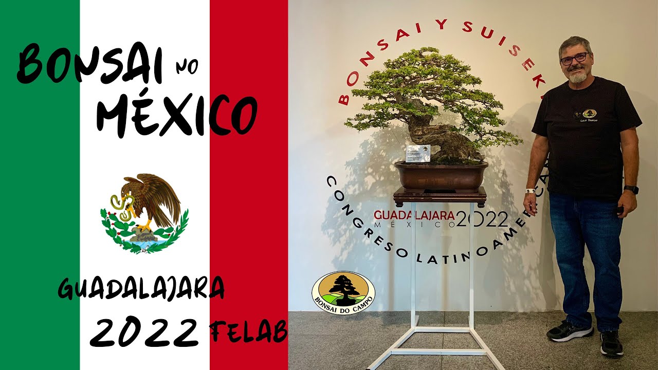 CONGRESSO LATINO-AMERICANO DE BONSAI Y SUISEKI, Guadalajara MÉXICO - FELAB 2022