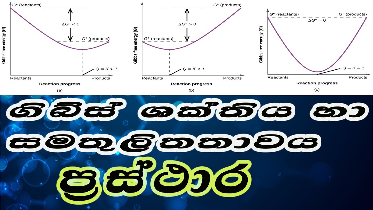 Gibbs free energy graphs and equilibrium / සමතුලිතතාව සහ ගිබ්ස් ශක්ති ප්‍රස්තාර / speed revision