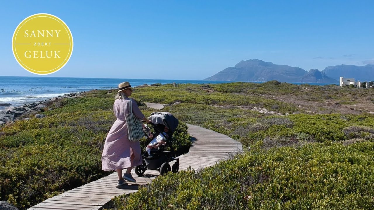Kaapstad: Leuke tips om te doen als je met (kleine) kinderen bent | Sanny zoekt Geluk