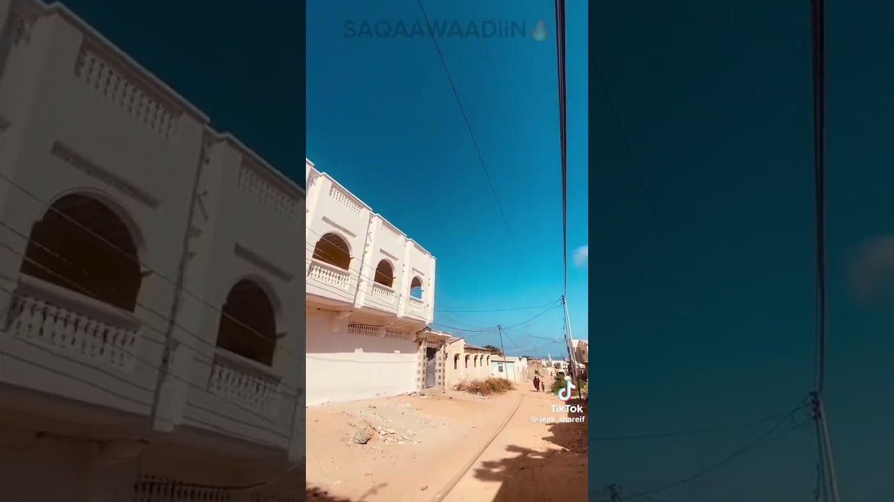 #shortvideo