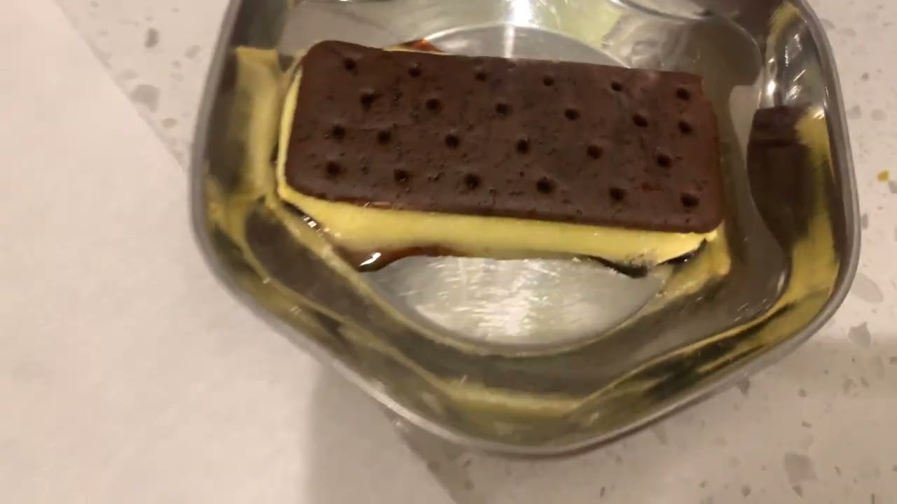 Do Walmart ice creme sandwiches actually melt? SHOCKING #nastyfood#gross #icecream #walmart