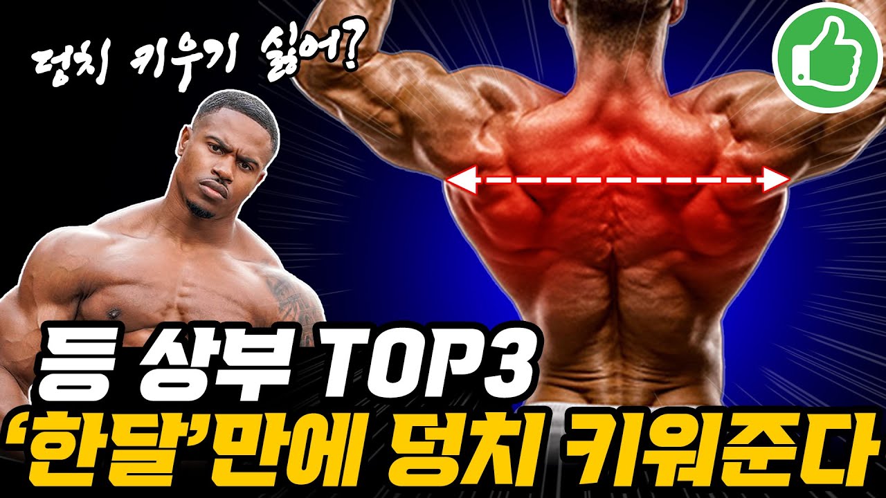 덩치 키우려면 무조건 '등 상부'부터 키우세요! (등 근육 운동 루틴, 승모근, 대원근 털어주는 등 운동!)