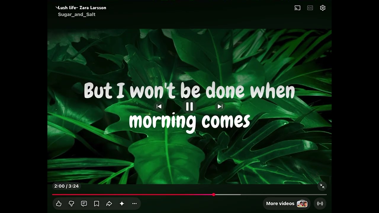 Lush life Zara Larsson 