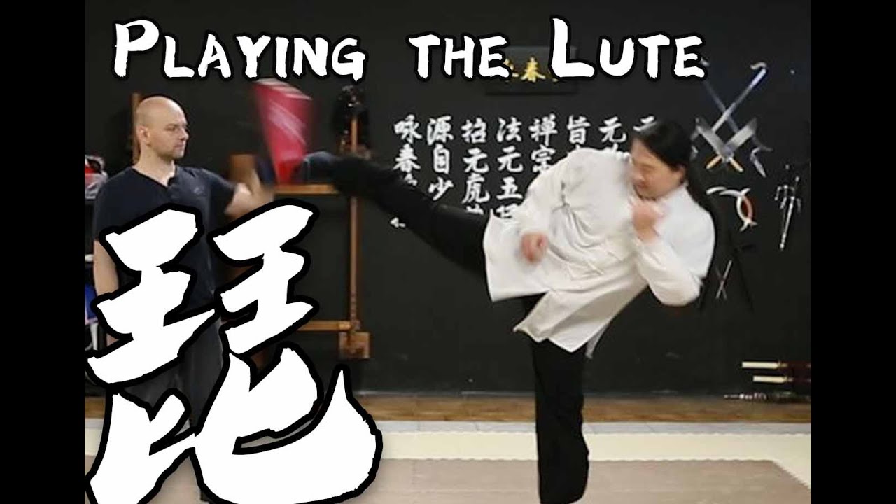 Tai Chi 24 Section Application Exercise - Section 5 : Playing the Lute 手挥琵琶