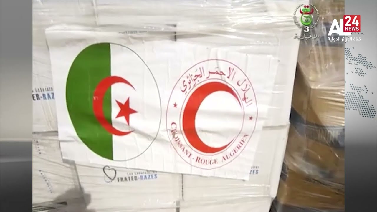 الإبادة في غزة | دخول أولى المساعدات الإنسانية الجزائرية إلى القطاع