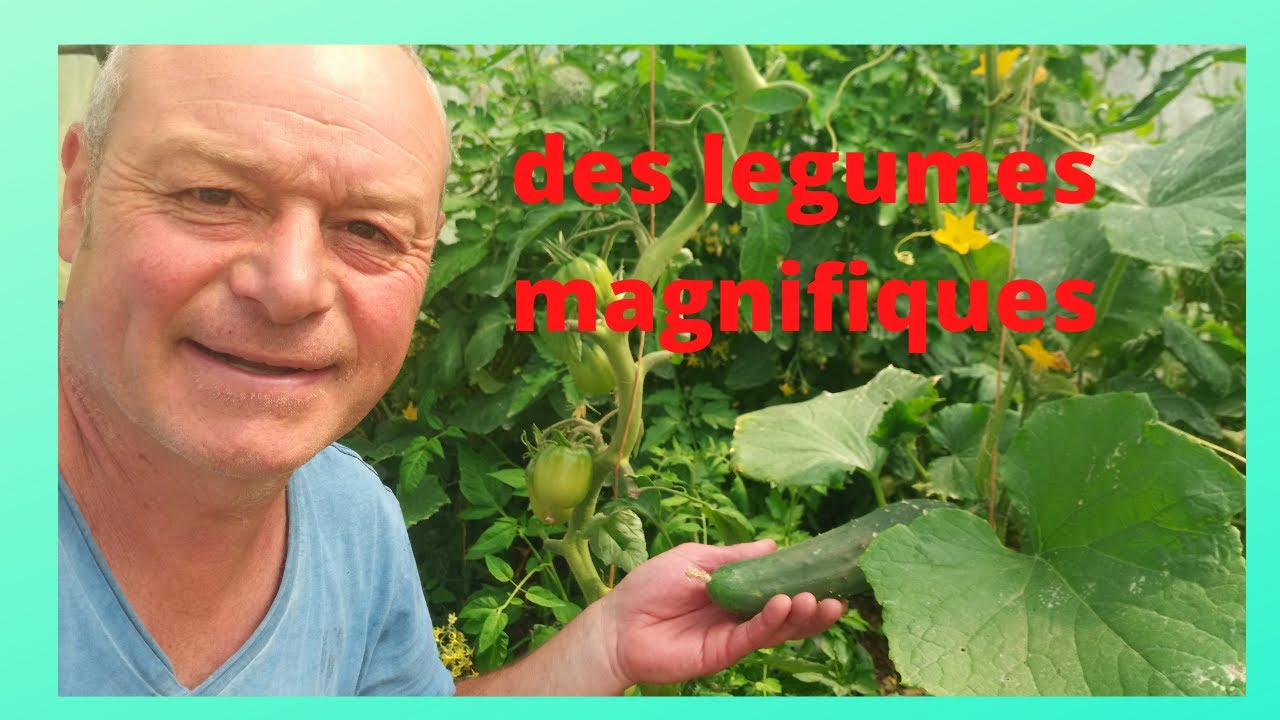 comment avoir du beau légumes au jardin !!!!!!  ( conseils à mes amis )