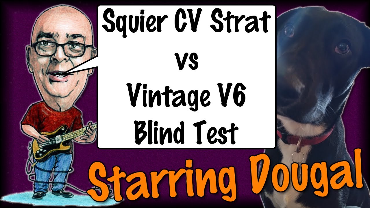 Squier CV Strat vs Vintage V6 Blind Test Starring Dougal