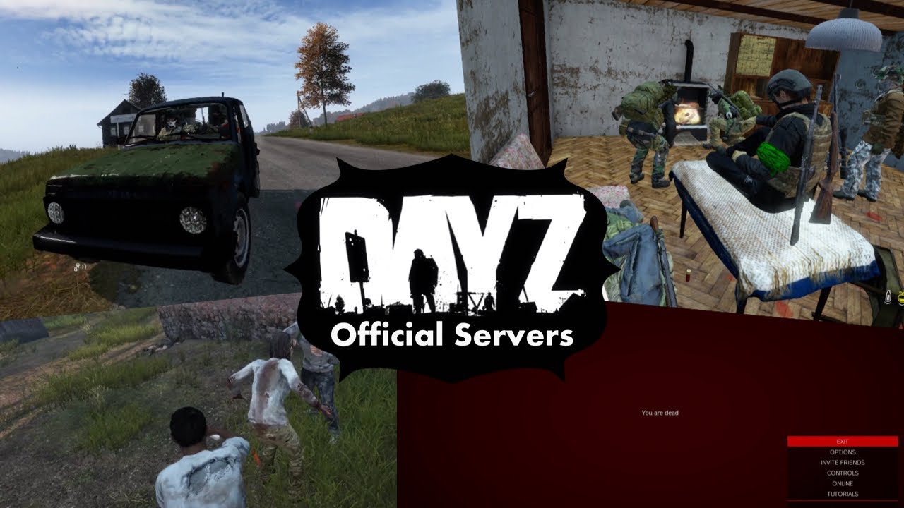 DayZ Official Servers in 2024 😭