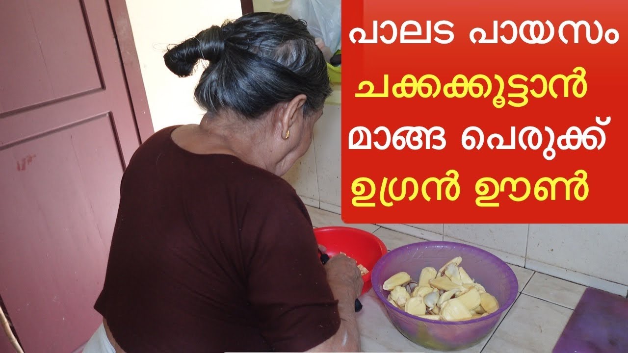 പാലട പായസം ചക്കക്കൂട്ടാൻ മാങ്ങ പെരുക്ക് പപ്പടം മുളക് വറുത്തത് ഉച്ചയൂണ് ഗംഭീരം/ palada paayasam