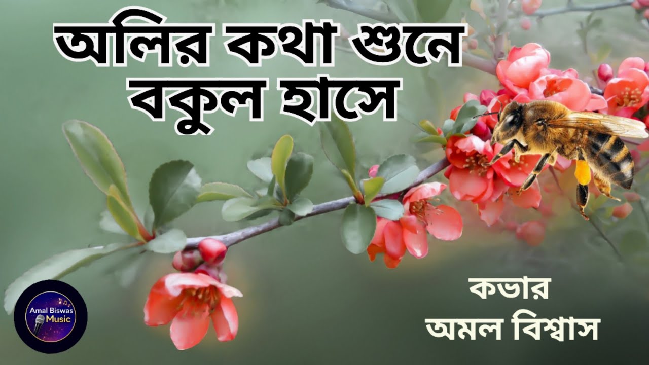 Olir Kotha Shune Bokul Hashe | অলির কথা শুনে বকুল হাসে | Hemanta Mukhopadhyay | Cover | Amal Biswas
