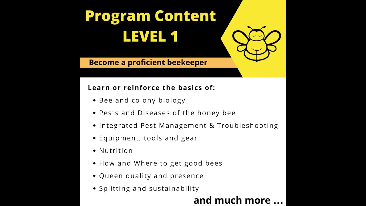 Beekeeping Apprenticeship for Backyard and Professional Beekeepers on Langstroth and Top-Bar Hives