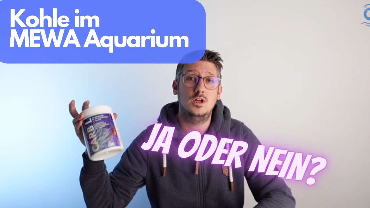 Filtern im Meerwasser Aquarium - (Aktiv)Kohle ja oder nein?