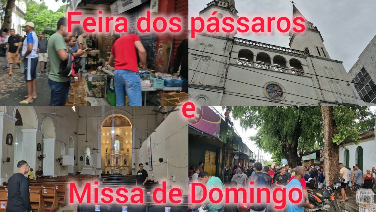 Domingo na Feira dos pássaros e Missa na Igreja do Amparo. Teresina Piauí 