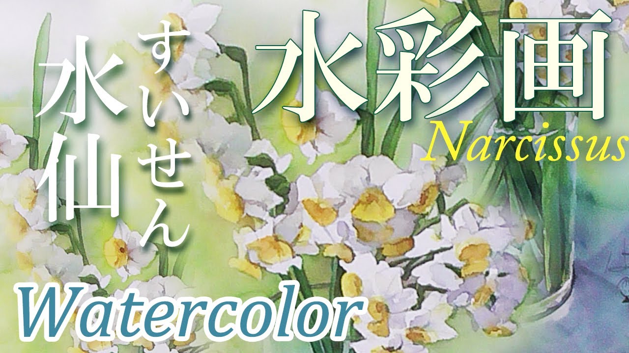 【はるき堂おおだんな】 スイセン　Narcissus　水彩画　Watercolor