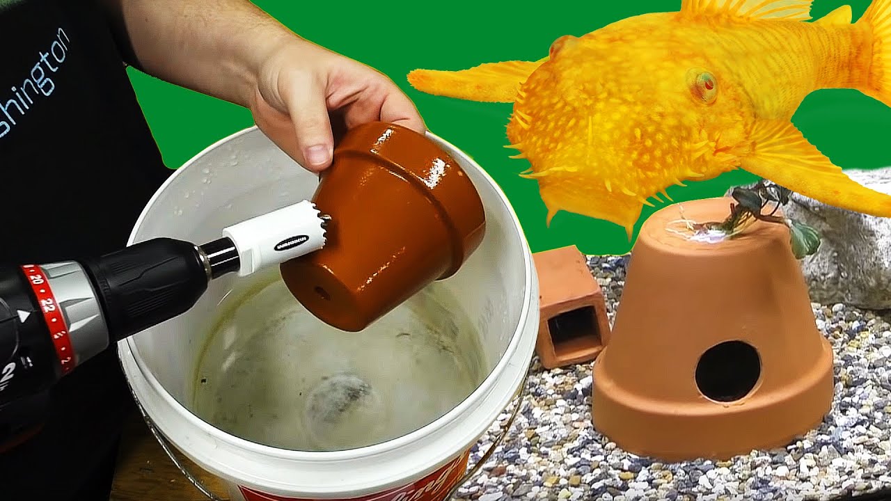 How to Make an Easy DIY Breeding Cave for Plecos and Cichlids