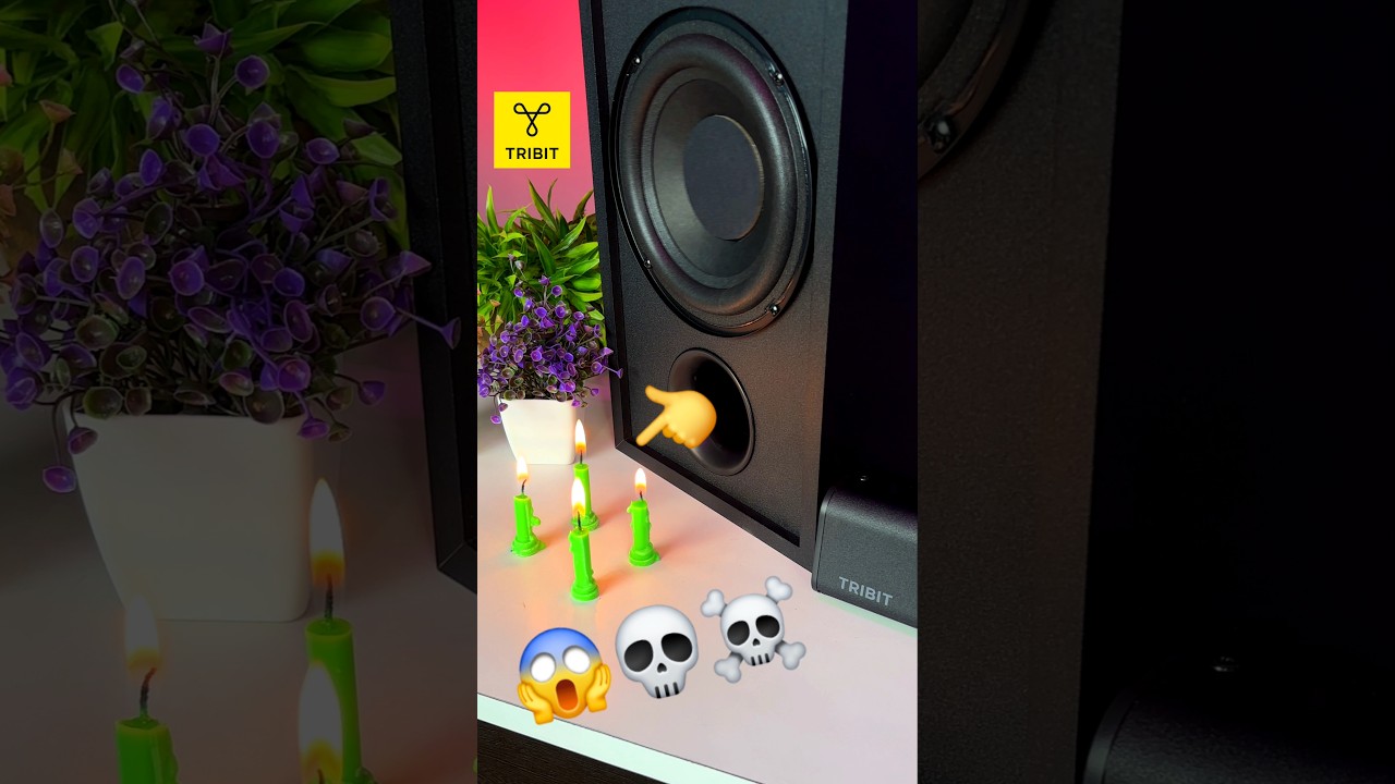 Tribit Soundbar Speaker S1 with Wired Subwoofer | Bass Test | 200W DEEP BASS 🔊 #tribit #soundbar