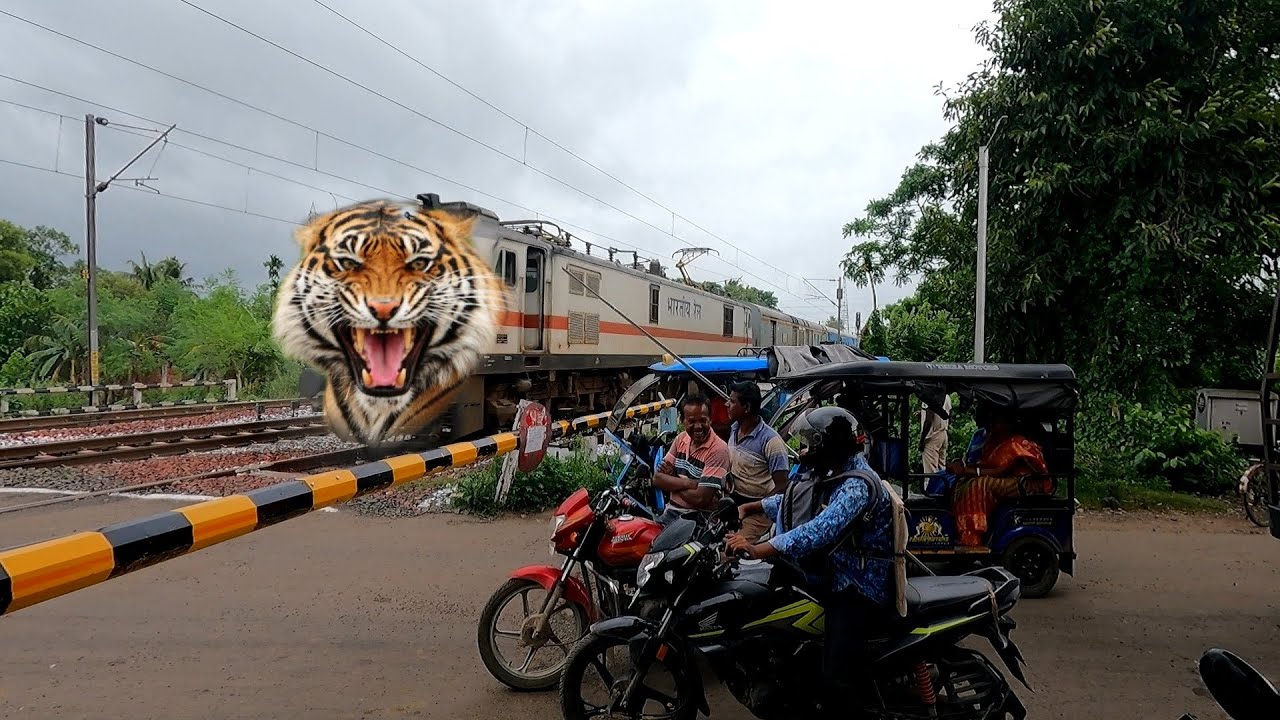 Extreme Angry Tiger Speed Jan Shatabdi Express Dangerous Aggressive Passing Throughout Railgate