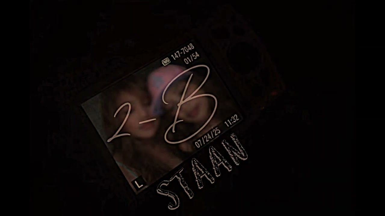 STAAN - 2B (prod. Distro)