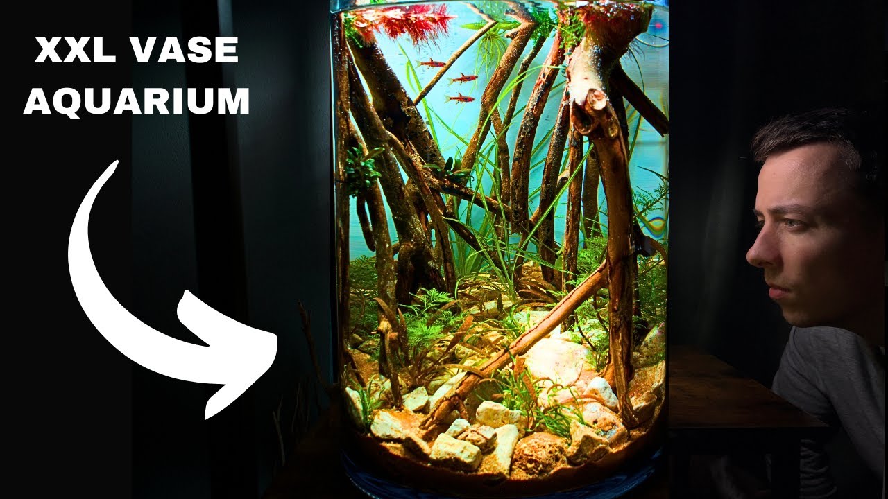 The Mangrove Forest: Epic Low Tech XXL VASE AQUARIUM! (Aquascape Tutorial)