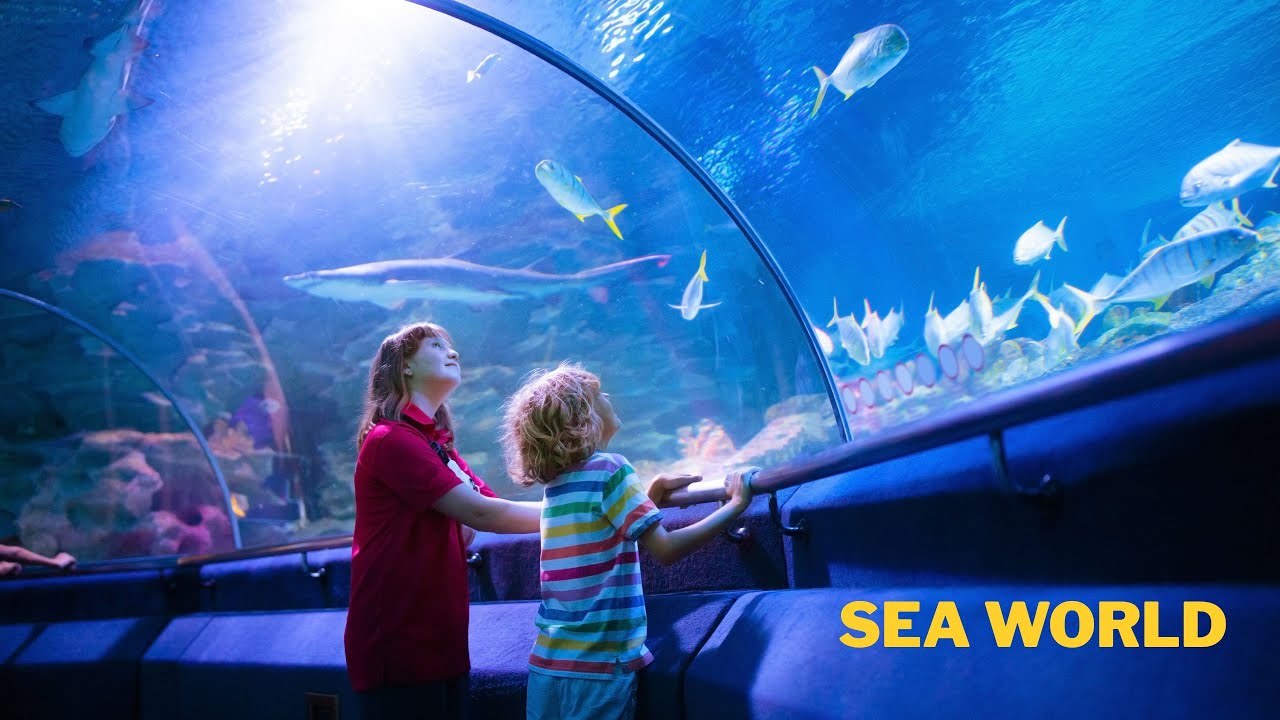 SeaWorld Abu Dhabi Shocked Us (Here's Why)