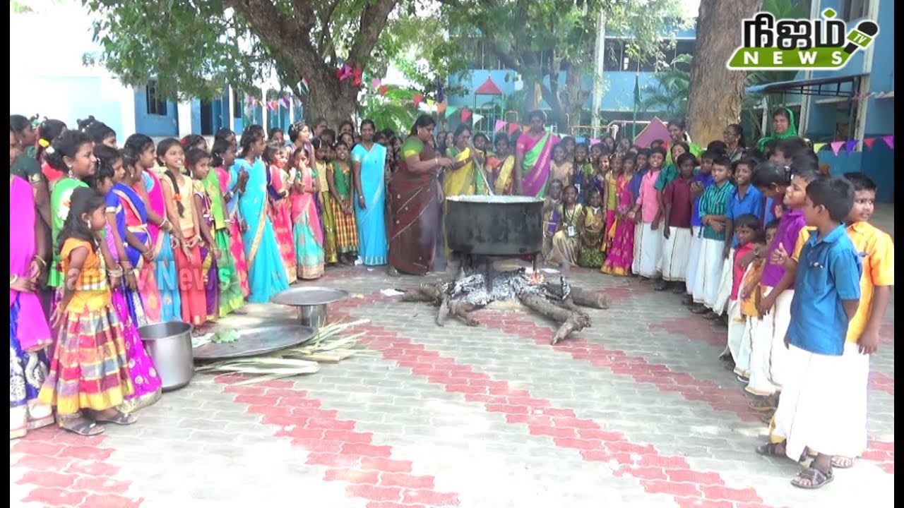 S T C  நர்சரி  பள்ளியில் சமத்துவ பொங்கல் விழா!