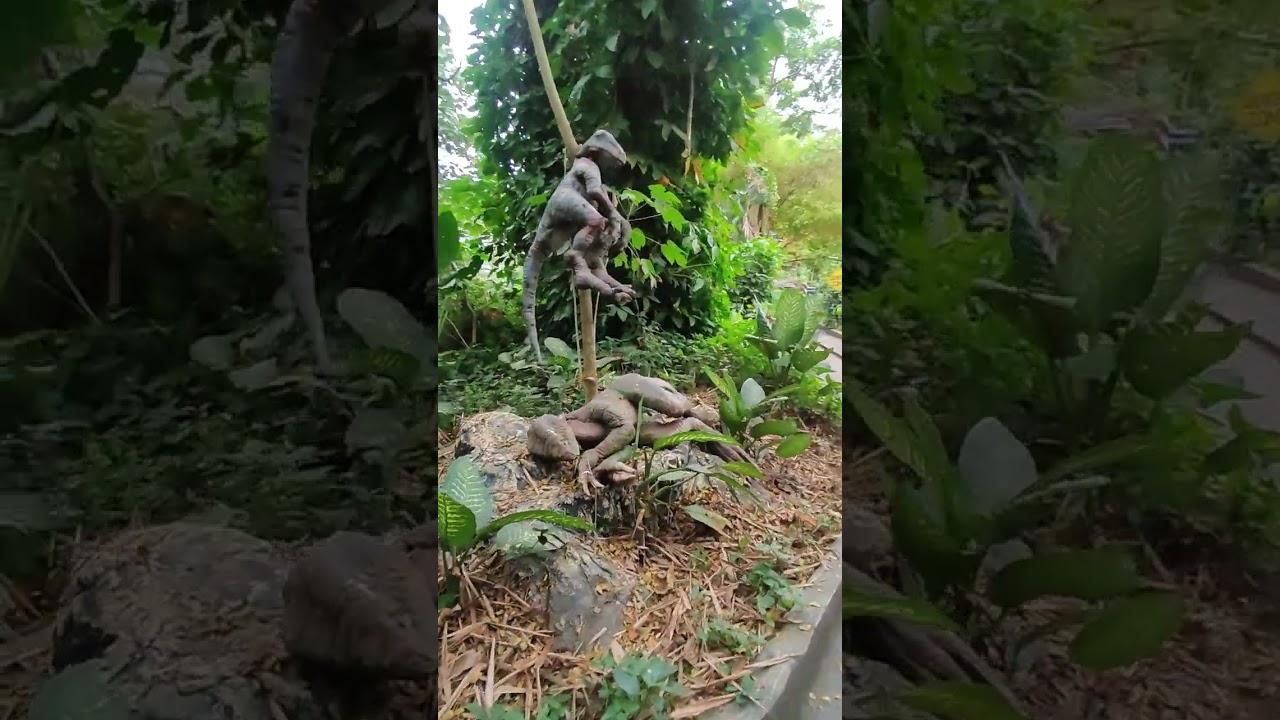 Jurassic Jungle Safari Clark Land Adventure 
