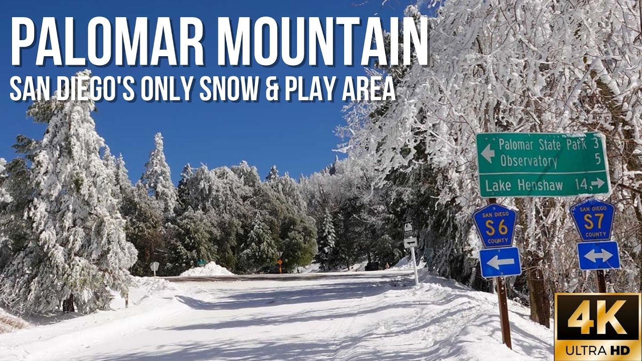 Palomar Mountain, San Diego, CA | Scenic Winter Drive [4K UHD]