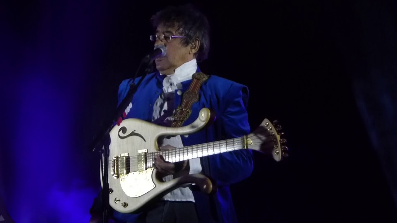 Laurent Voulzy - Bruxelles le 9/11/2018 -  Caché derrière