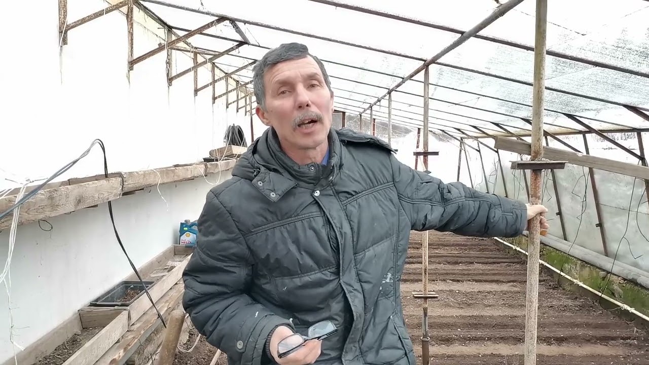 Открытие сезона, посев томатов в холодную землю