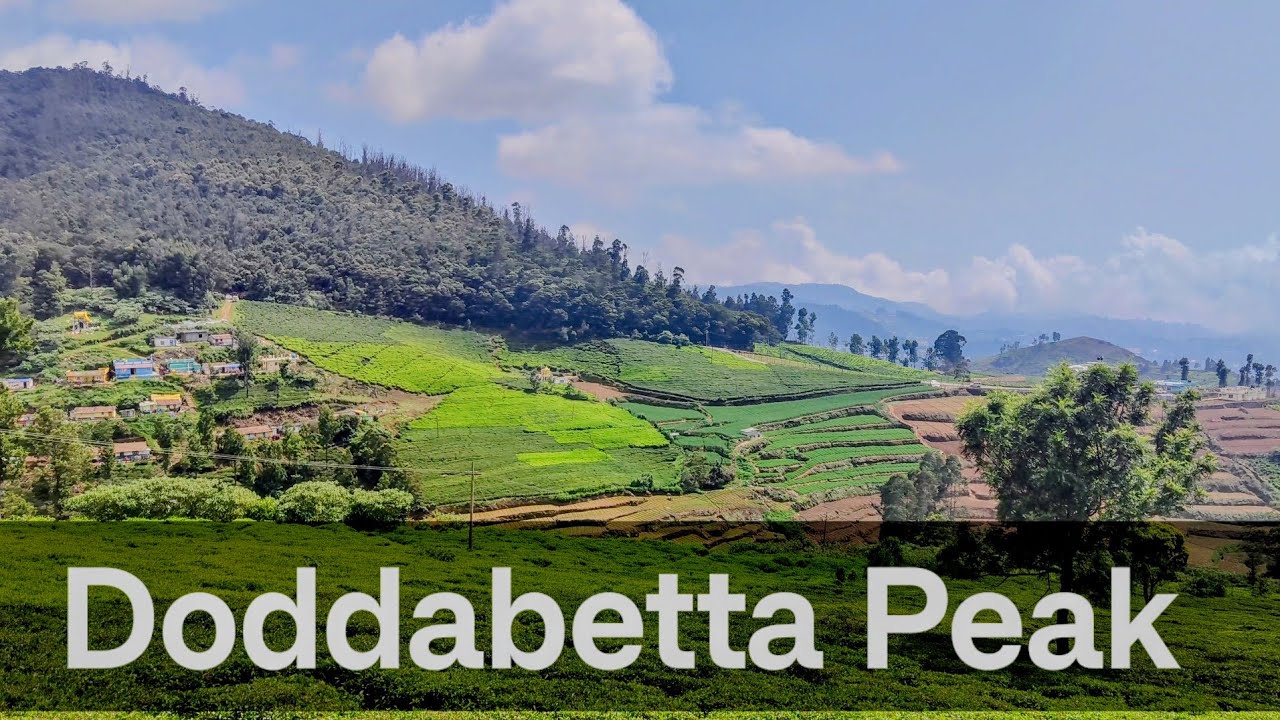 Doddabetta peak Ooty | Highest mountain Peak | Places to visit in Ooty