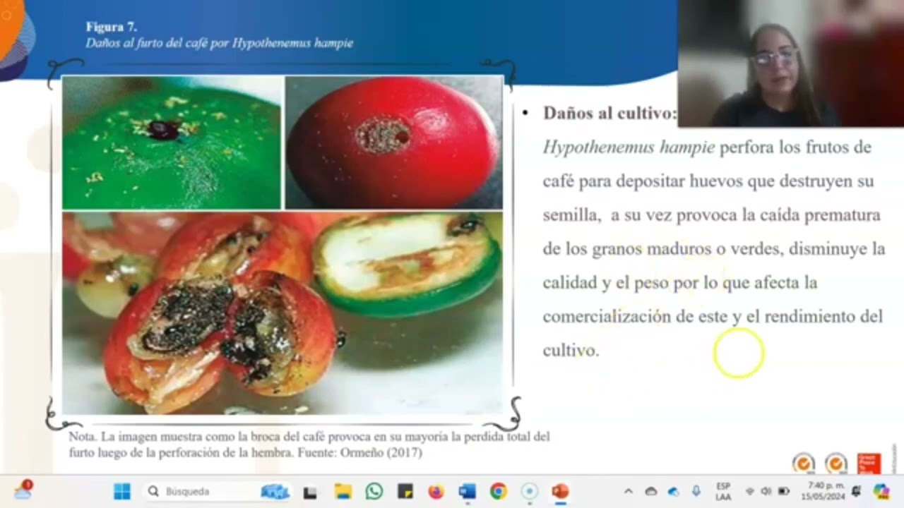 Tarea 5. Manejo Integrado de Plagas en Agroecosistemas