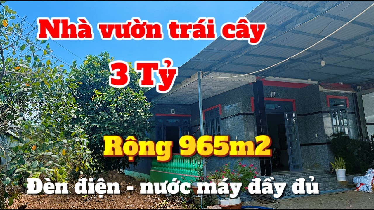 CHUYỂN CHỖ Ở Anh Long bán gấp nhà vườn cây trái xum xuê thoáng mát đường nhựa, dân cư đông ở BRVT.