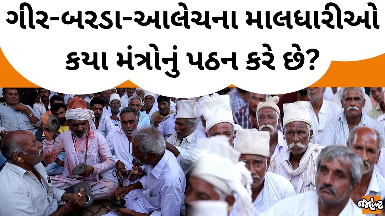 જાણો માલધારીઓની સંસ્કૃતિ વિશે|સરજૂ-સામવેદનું ગાન કહે છે આને Maldhari Samaj|Jamawat