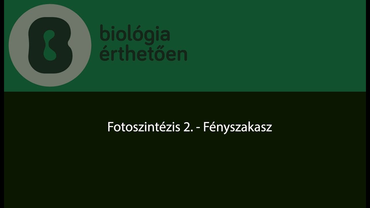 Fotoszintézis 2 - Fényszakasz
