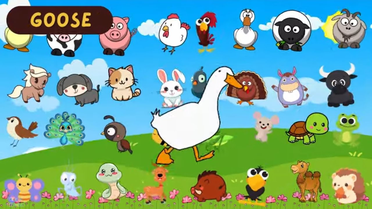 Zoo aniamsl sounds song